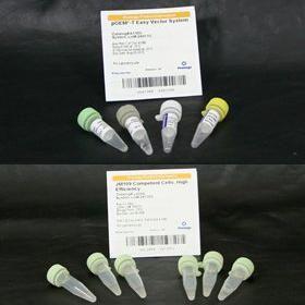 280x280 T Easy Vector Systems, Vwr