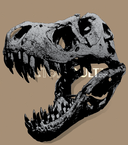 T Rex Skull Vector