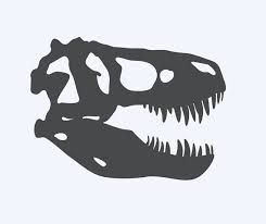 245x206 Image Result For T Rex Skull Vector Pillies Dinosaur