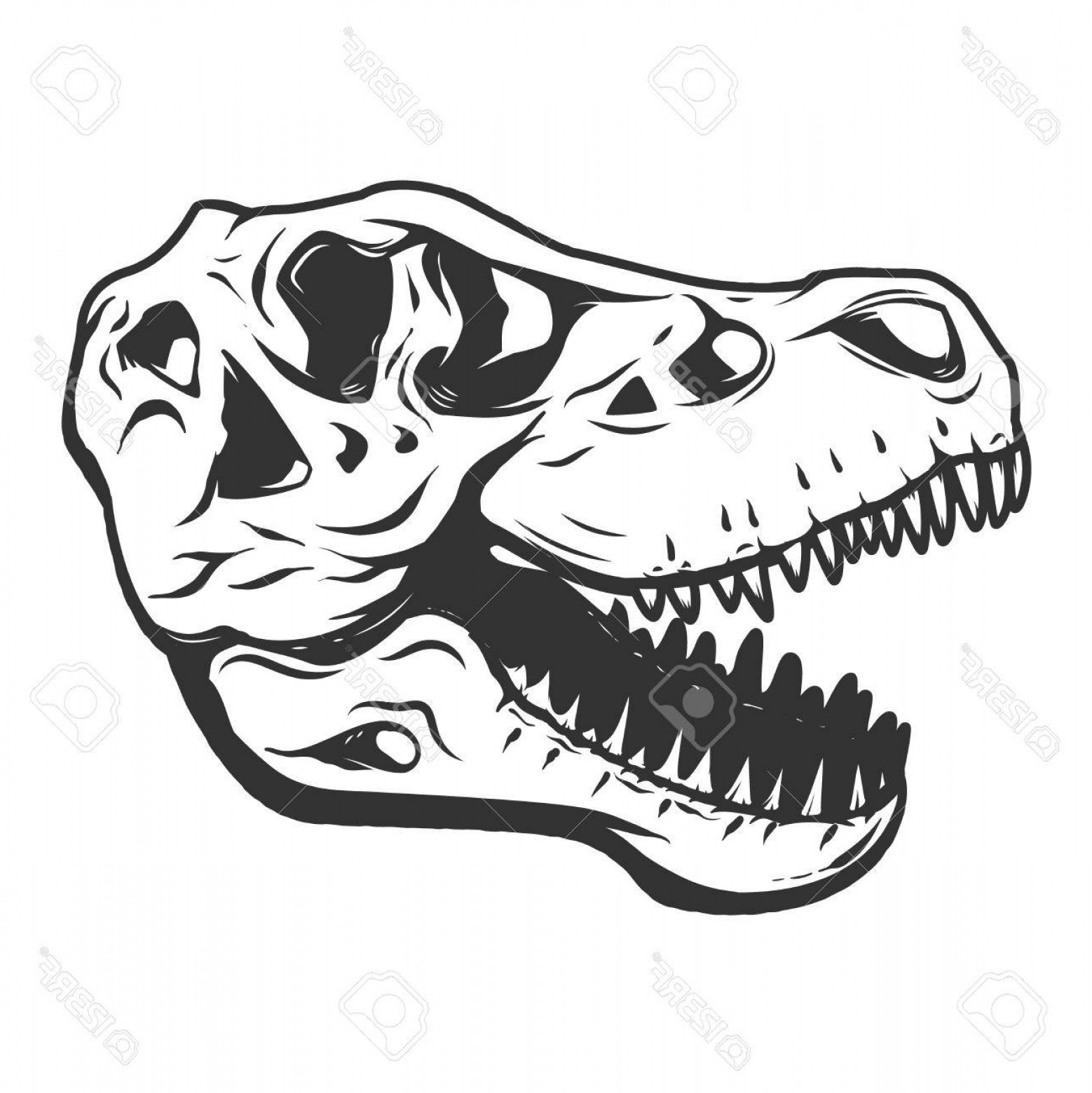 T Rex Skull Vector at Vectorified.com | Collection of T Rex Skull ...