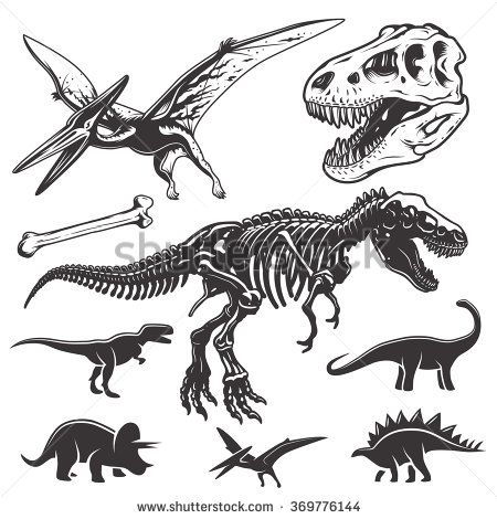 450x470 Set Of Monochrome Dinosaurs Archeology Elements T Rex Skull