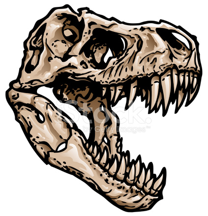423x439 T Rex Skull Stock Vector