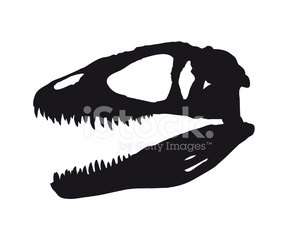 297x234 T Rex Skull Vector