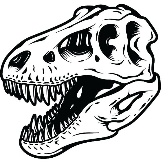 T Rex Skull Vector at Vectorified.com | Collection of T Rex Skull ...