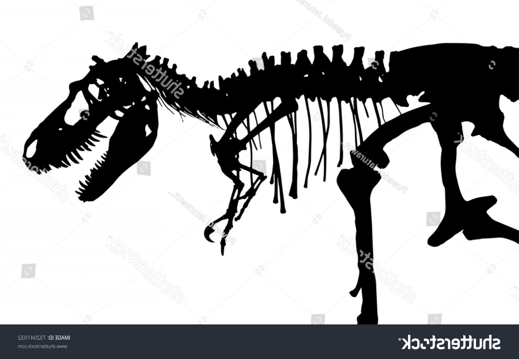 T Rex Skull Vector at Vectorified.com | Collection of T Rex Skull ...