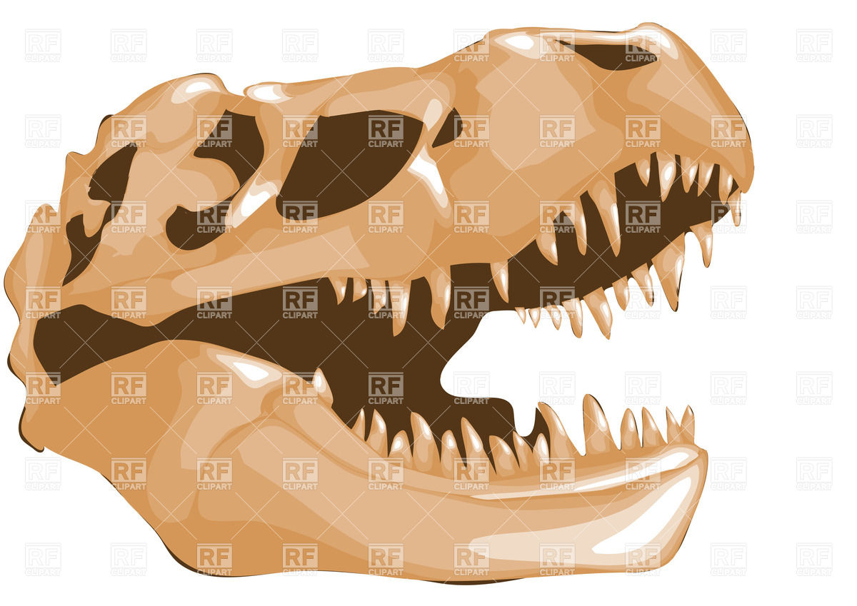 1200x849 Tyrannosaurus Rex Skull Vector Image Of Objects Arkela
