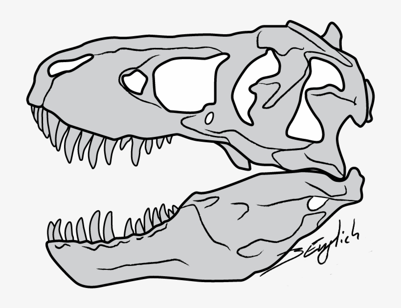 820x630 Vector Royalty Free Clipart Face T Rex