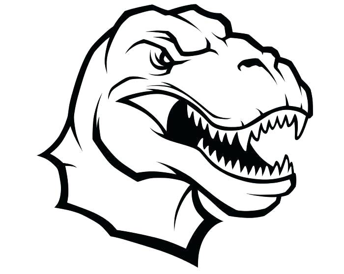700x558 T Rex Head Drawing