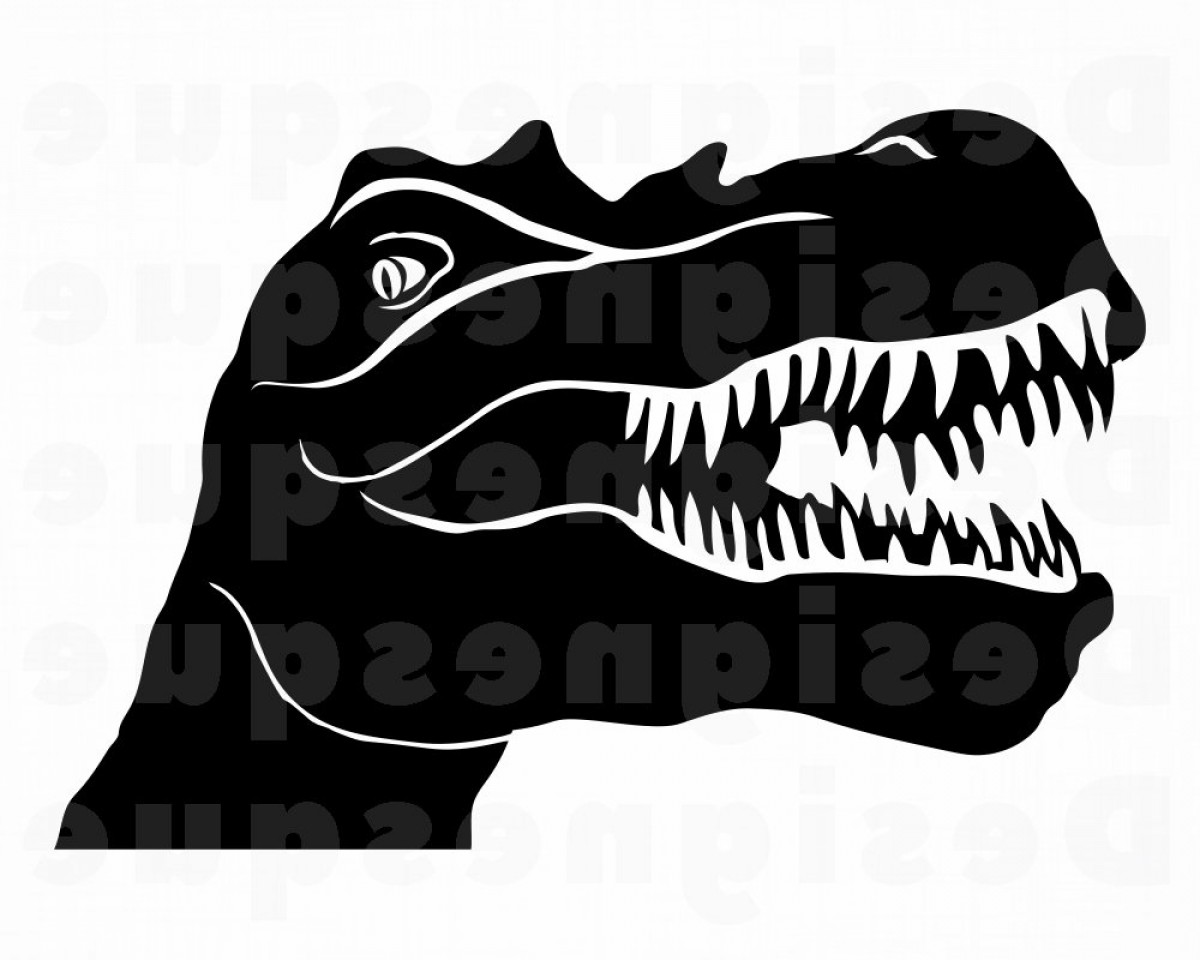 1200x960 Dinosaur Skull Vector Cultracing