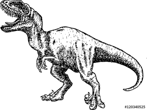 500x374 T Rex Dinosaur Dinosaur Drawing Pencil Sketch Stock Image