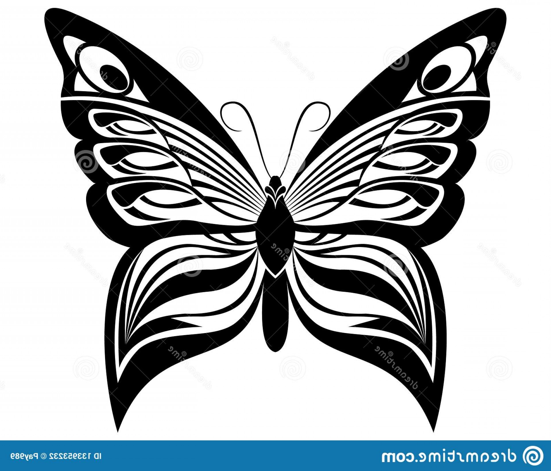 Butterfly Vector Art Stencil Tattoo T Shirt Print Butterfly Black 1920x1642 Butterfly Vector Art Stencil Tattoo T Shirt Print Butterfly Black