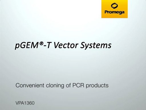 512x384 T Easy Vector Systems