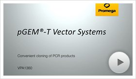 280x163 T And T Easy Vector Systems Protocol