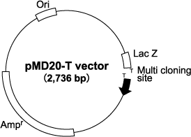 274x196 Mighty Ta Cloning Kit Pcr Ta