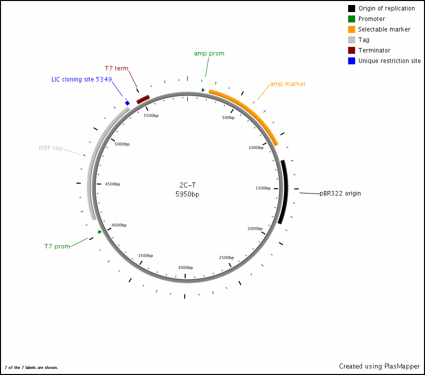 850x750 Addgene Pet Mbp Tev Lic Cloning Vector