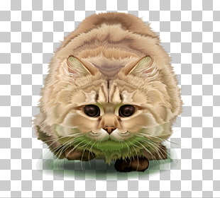 310x280 European Shorthair Dragon Li Tabby Cat Kitten, Big Cat Png Clipart