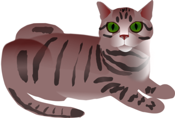 362x245 Free Tabby Cat Vector Graphic