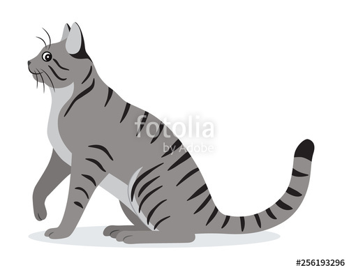 500x387 Smooth Coated Tabby Cat With Long Tail Icon, Cute Gray Pet