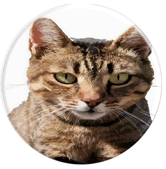 550x561 Portrait Of A Cute Tabby Cat Vector Popsocket