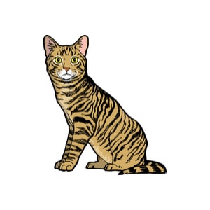 300x300 What's A Mackerel Tabby Cat Things You Didn't Know Purring Pal