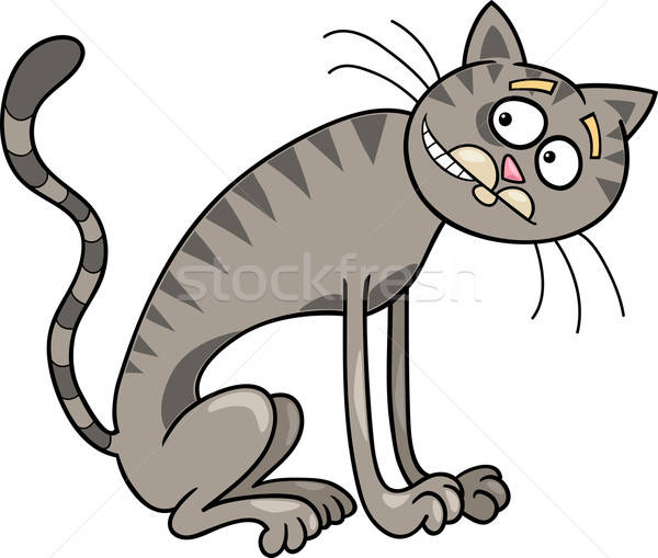 600x509 Thin Gray Tabby Cat Vector Illustration Igor Zakowski