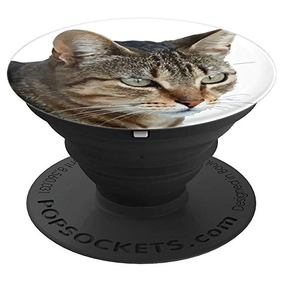 569x569 Stunning Tabby Cat Close Up Portrait Vector Popsocket