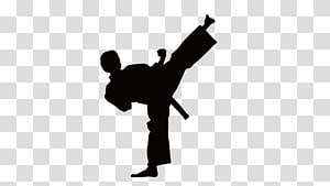 300x169 Taekwondo Vector Transparent Background Png Cliparts Free Download