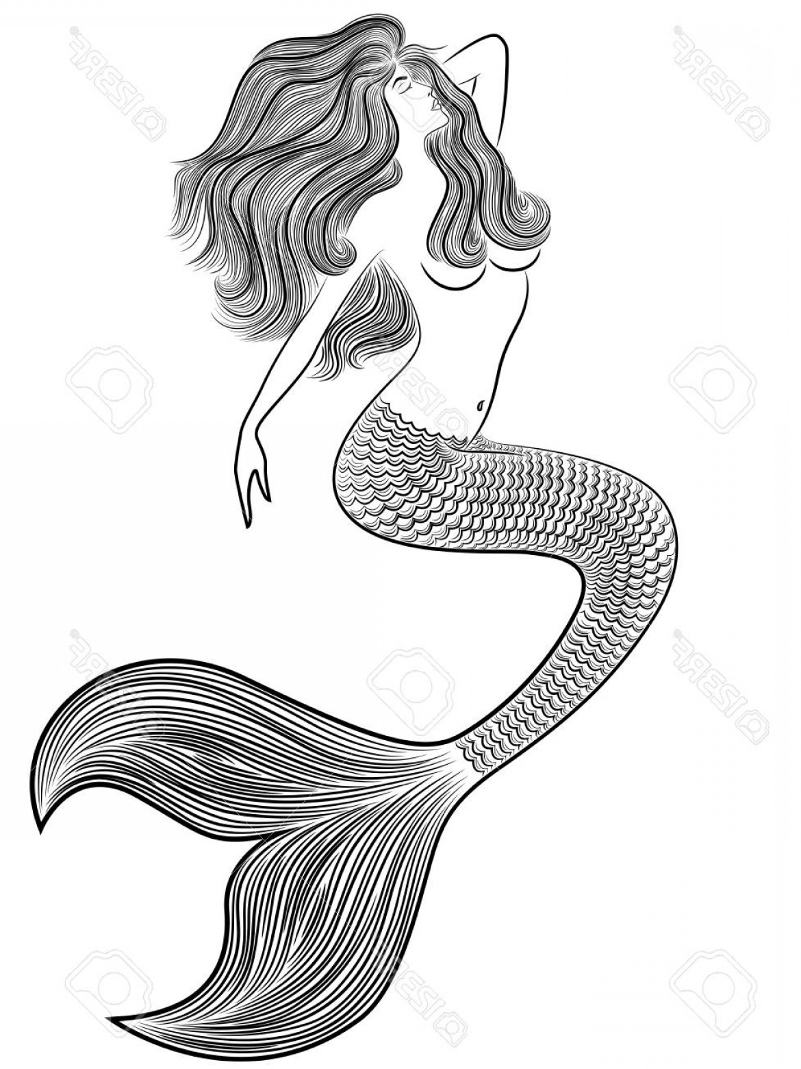 1170x1560 Fish Tail Vector Art Studiogrfx
