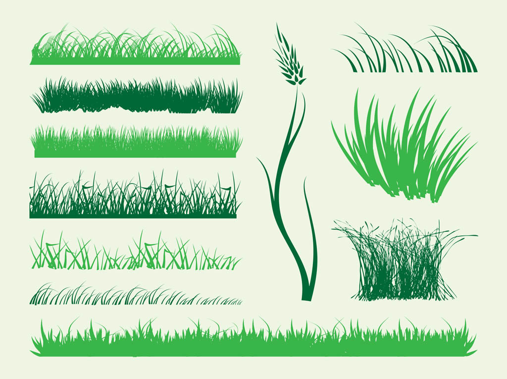 1024x765 Stems Of Grass Vector Vector Art Graphics