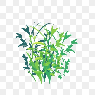 360x360 Tall Grass Png, Vector, And Clipart With Transparent