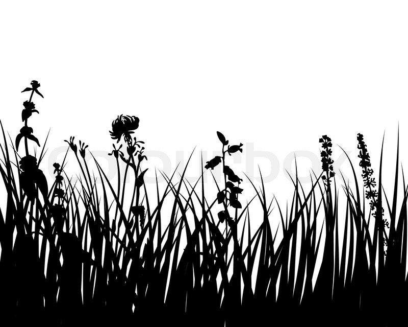 800x640 Silhouette Prairie Grass Landscaping Pictures And Ideas On Pro