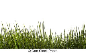 300x183 Tall Grass Clipart Free Cliparts Download Images