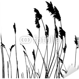 309x311 Tall Grass Silhouette Silhouette Black Reed Foreground Vector
