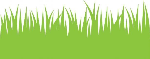 615x242 Tall Grass Silhouette Stock Photo Tall Grass Silhouette Vector