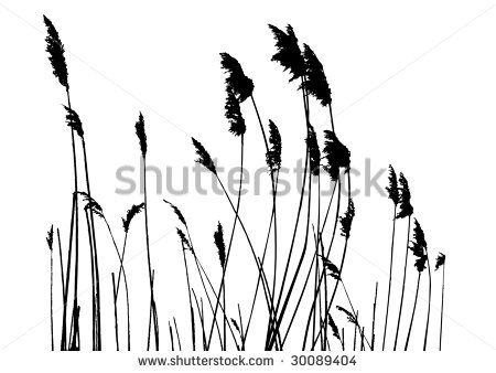 450x338 Tall Grass Silhouette