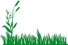 233x154 Tall Grasses In The Jungle Clip Art
