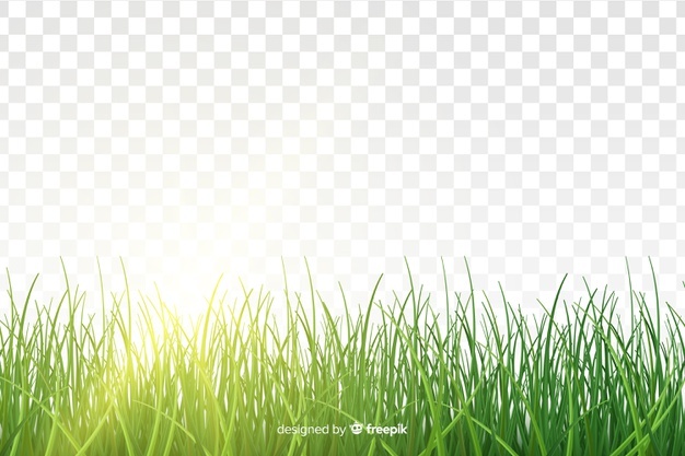 626x417 Grass Vectors, Photos And Free Download