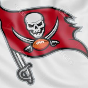 300x300 Tampa Bay Buccaneers New Logo Hoodamath