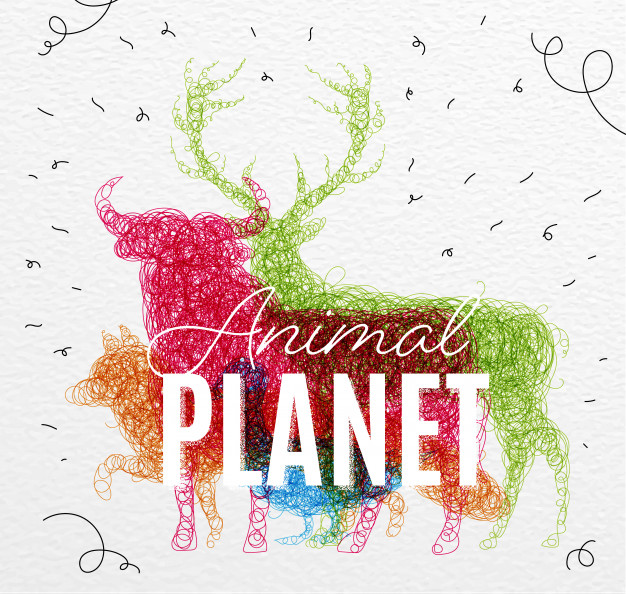 Poster Animal Planet Tangled Vector Premium Download 626x594 Poster Animal Planet Tangled Vector Premium Download