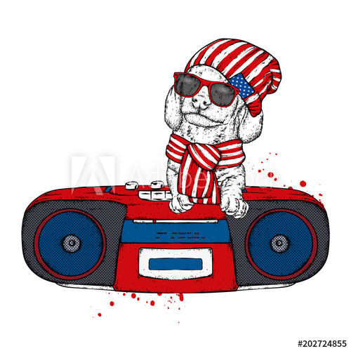 A Stylish Hipster Dog And An Old Cassette Tape Recorder Vector 500x500 A Stylish Hipster Dog And An Old Cassette Tape Recorder Vector