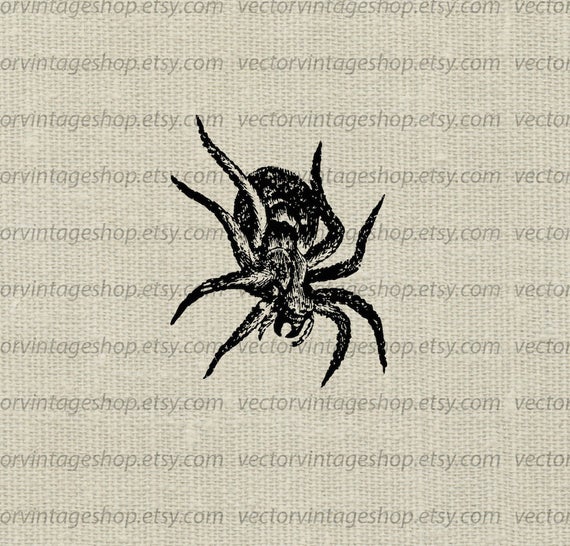570x546 Spider Tarantula Vector Clipart Halloween Graphic Instant Etsy