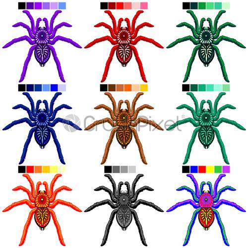 500x500 Spiders Tarantulas Set Of Colors Vector Elements Isolated