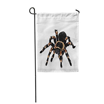 425x425 Semtomn Garden Flag Isolated Spider