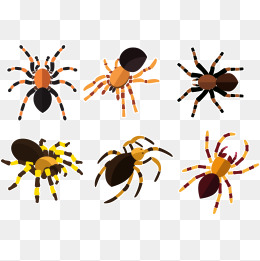260x261 Tarantula Png Images Vector And Free Download