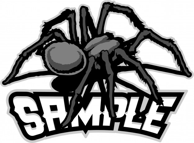 626x462 Tarantula Vectors, Photos And Free Download