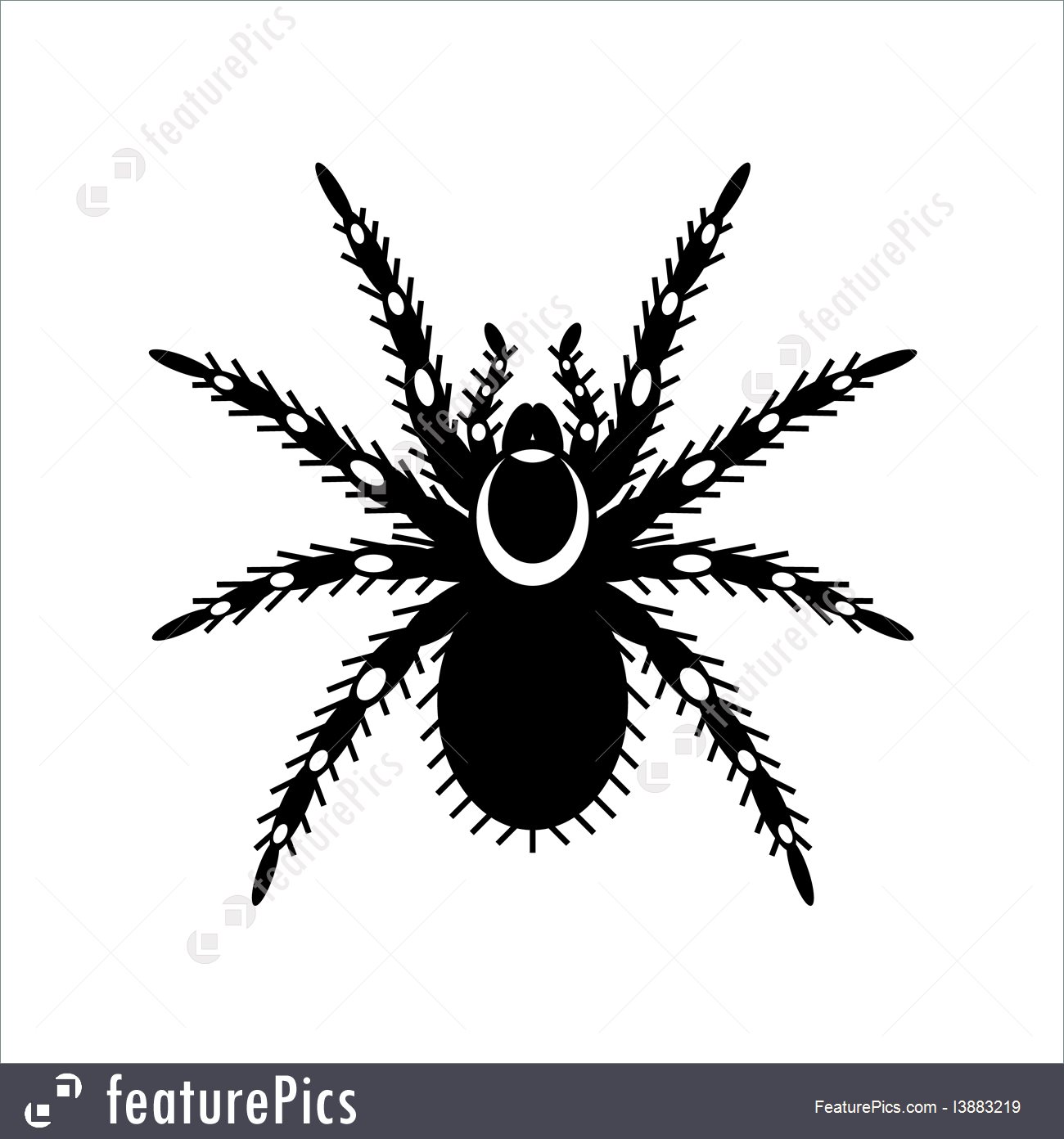 1300x1392 Black And White Vector Of Tarantula