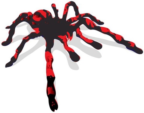 469x368 Tarantula Vector Image Free Vector Download