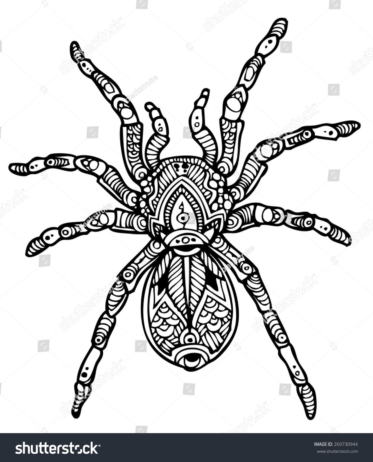 1292x1600 Zentangle Vector Tarantula Zentangles In Frog Tattoos