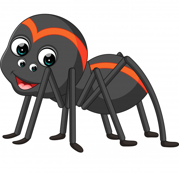 626x606 Cartoon Spider Tarantula Vector Premium Download