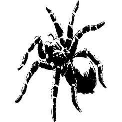245x245 Free Tarantula Free Vector Vector Graphic